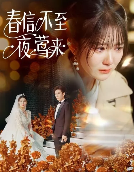 Chun Xin Bu Zhi Ye Ying Lai / Chun Xin Bu Zhi Ye Ying Lai  /  春信不至夜莺来