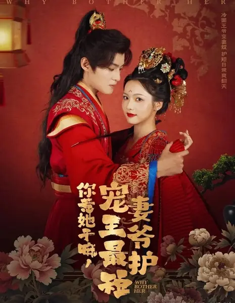Зачем её беспокоить? / Why Bother Her /  你惹她干嘛，宠妻王爷最护短