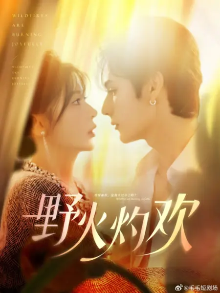 Дорама Радостно горят лесные пожары / Wildfires Are Burning Joyfully /  野火灼欢