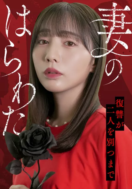 Дорама Внутренности моей жены: Пока месть не разлучит нас / Tsuma no Harawata: Fukushu ga Futari wo Wakatsu Made /  妻のはらわた～復讐が二人を別つまで～