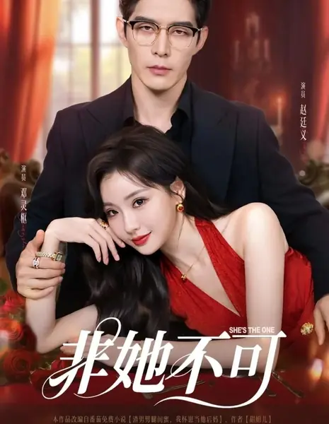 Она единственная / She's the One /  非她不可