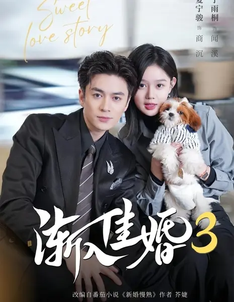 Сладкая история любви 3 / Sweet love story 3 / 渐入佳婚 第三季
