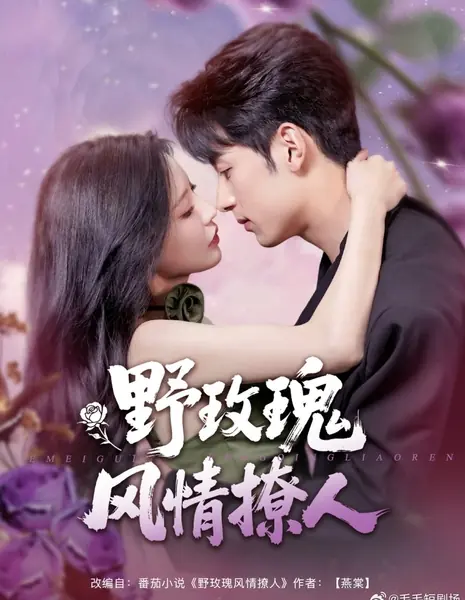 Очарование дикой розы / Ye Mei Gui Feng Qing Liao Ren /  野玫瑰风情撩人