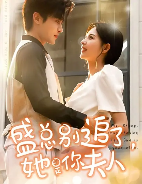 Господин Шэн, перестаньте за ней бегать. Она ваша жена / Mr. Sheng, Stop Chasing Her. She Is Your Wife /  盛总别追了，她是你夫人