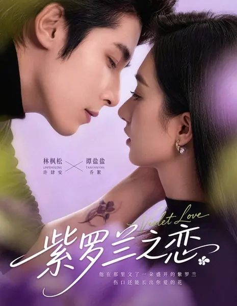 Фиалковая любовь / Violet Love / 紫罗兰之恋