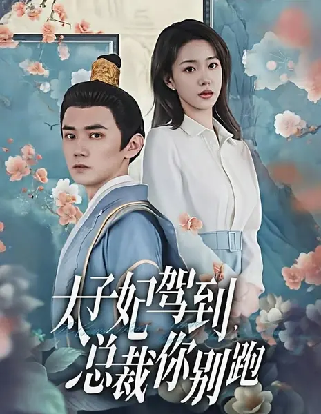 Tai Zi Fei Jia Dao, Zong Cai Ni Bie Pao /  太子妃驾到，总裁你别跑