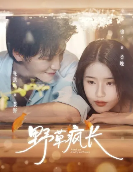 Дикие травы не знают преград / Weeds Are Thriving Unchecked  /  野草疯长