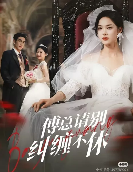 Fu Zong Qing Bie Jiu Chan Bu Xiu  /  傅总请别纠缠不休