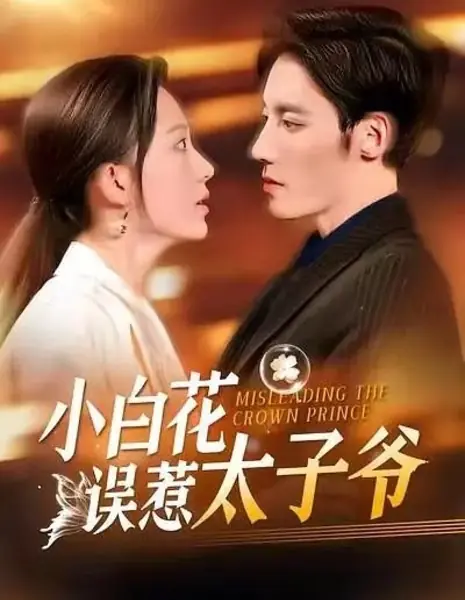 Ввести в заблуждение наследного принца / Misleading the Crown Prince /  小白花误惹太子爷