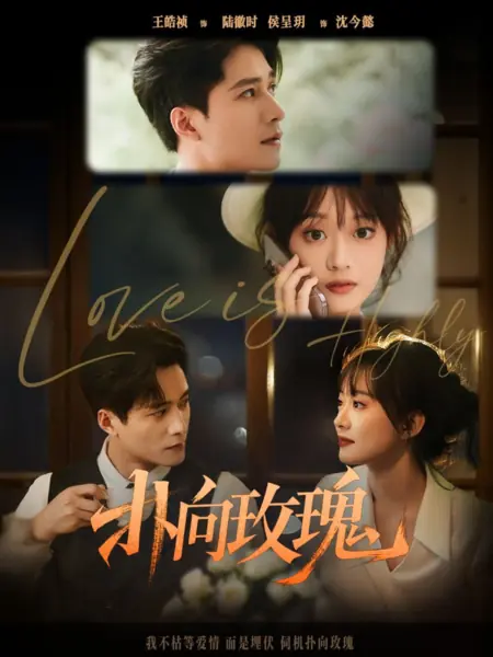 Дорама Любовь превыше всего / Love Is Highly /  扑向玫瑰