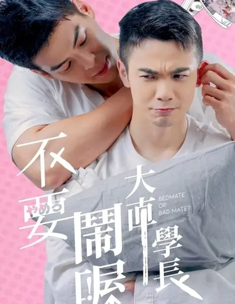 Не будь таким занудой  / Bedmate or Bad Mate /  不要鬧喔大直學長