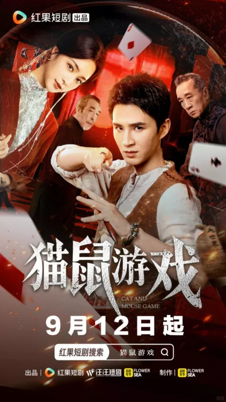 Дорама Игра в кошки-мышки / Cat and Mouse Game /  猫鼠游戏 / Mao Shu You Xi