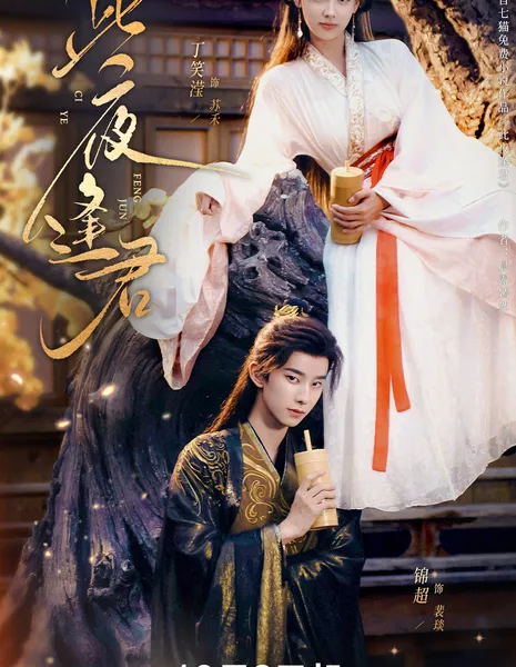 Судьбоносная ночь / Ci Ye Feng Jun / 此夜逢君