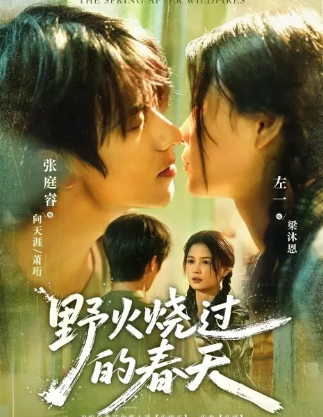 Весна после лесных пожаров / The Spring after Wildfires /  野火烧过的春天