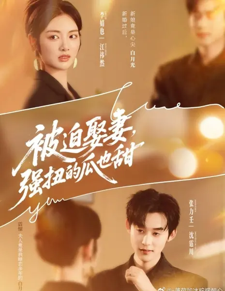 Против воли под венец: любовь вопреки всему / Bei Po Qu Qi, Qiang Niu De Gua Ye Tian /  被迫娶妻，强扭的瓜也甜