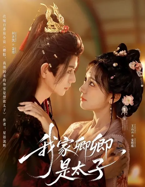 Wo Jia Qing Qing Shi Tai Zi /  我家卿卿是太子