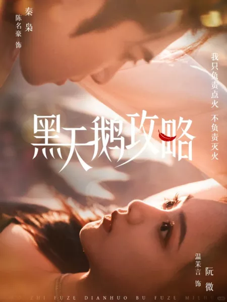 Дорама  Рейдеры черного лебедя / Hei Tian E Gong Lve  /  黑天鹅攻略