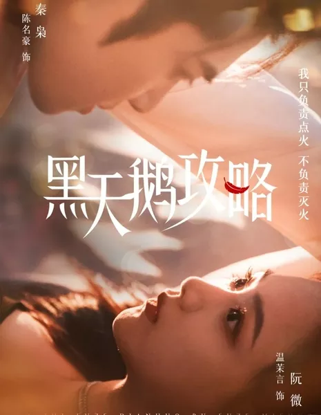  Рейдеры черного лебедя / Hei Tian E Gong Lve  /  黑天鹅攻略