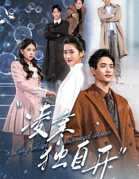 Линь Хань в одиночестве / Ling Han Bloomed Alone / 凌寒独自开