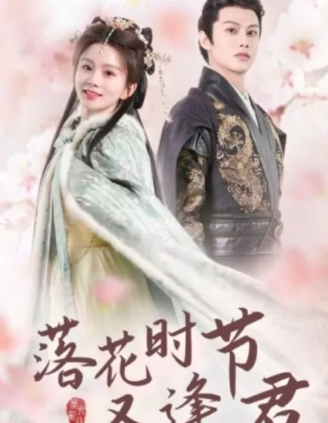 Luo Hua Shi Jie You Feng Jun Zhi  /  落花时节又逢君之