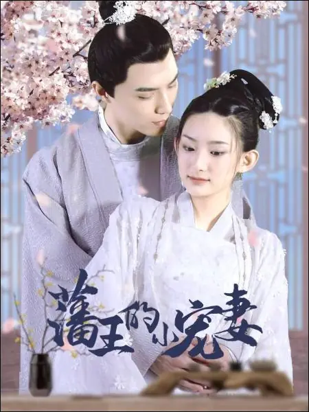 Дорама Любимая жена принца / Fan Wang De Xiao Chong Qi /  藩王的小宠妻 