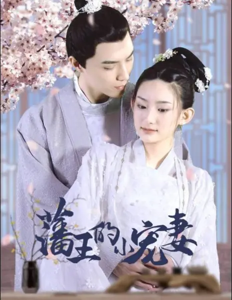 Любимая жена принца / Fan Wang De Xiao Chong Qi /  藩王的小宠妻 