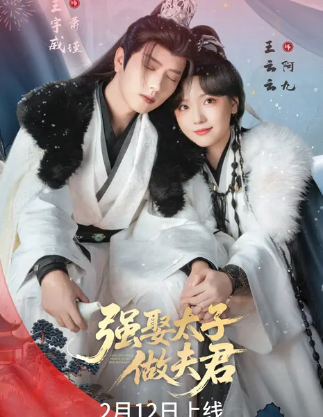Принуждение принца к женитьбе / Forcing the Prince to be Her Husband /  强娶太子做夫君 / Qiang Qu Tai Zi Zuo Fu Jun