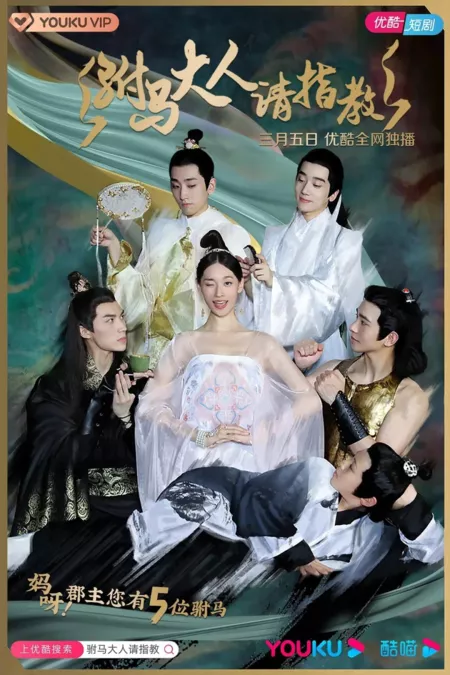 Серия 25 Дорама Принц-консорт, пожалуйста, посоветуй / Prince Consort, Please Advise / 驸马大人请指教 / Fu Ma Da Ren Qing Zhi Jiao