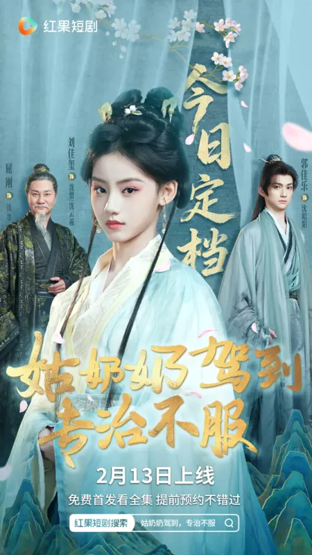 Дорама Gu Nai Nai Jia Dao Zhuan Zhi Bu Fu / 姑奶奶驾到专治不服