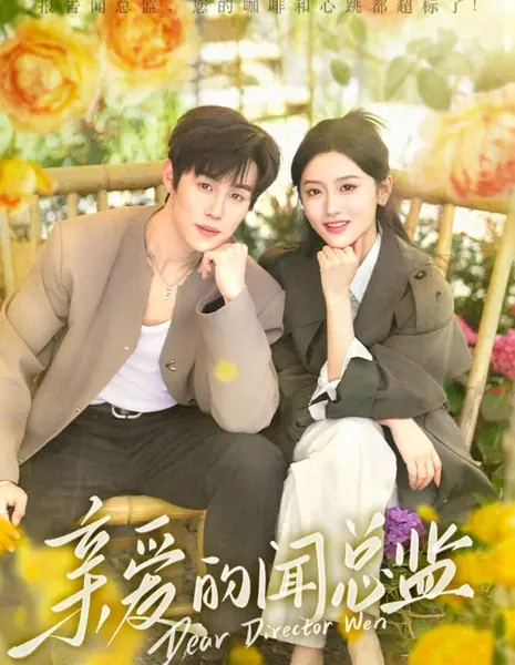 Уважаемый директор Вэнь / Dear Director Wen /  亲爱的闻总监