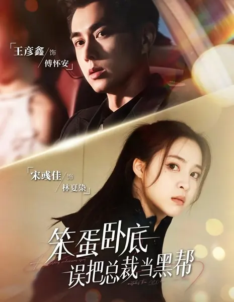 Скрытая ошибка / Undercover Mistake /  笨蛋卧底，误把总裁当黑帮