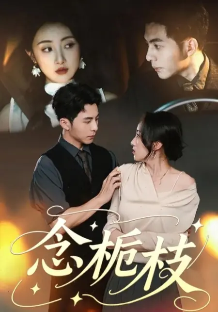 Дорама Тоска по Чжи Чжи / Nian Zhi Zhi /  念栀枝