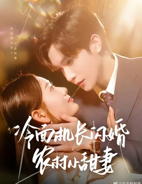 Холодный пилот и его милая деревенская жена / Leng Mian Ji Zhang Shan Hun Nong Cun Xiao Tian Qi  /  冷面机长闪婚农村小甜妻