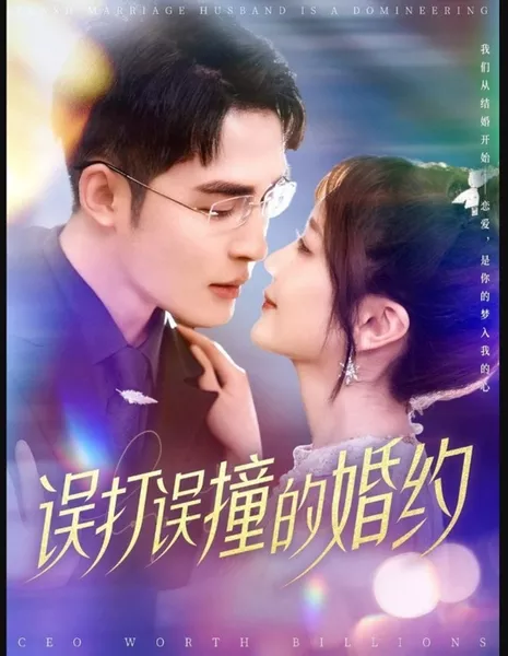 Случайное столкновение / Accidental Engagement / 误打误撞的婚约