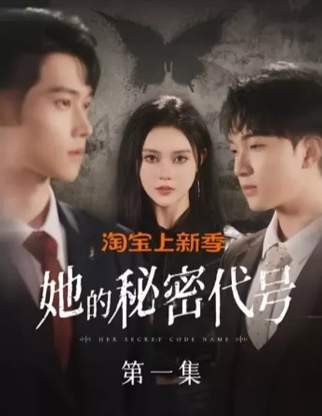 Её тайное имя / Her Secret Code Name /  她的秘密代号