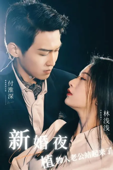 Дорама Кемпинг / Camping (2023) /  新婚夜植物人老公站起来了