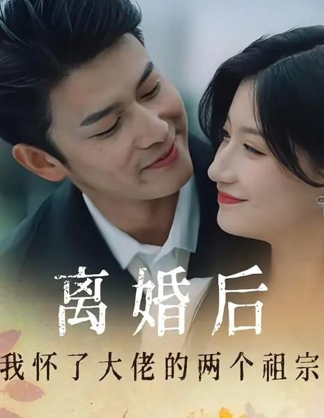 Li Hun Hou Wo Huai Le Da Lao De Liang Ge Zu Zong /  离婚后我怀了大佬的两个祖宗