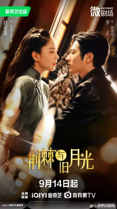 Дорама Шипы и лунный свет / Jing Ji Yu Jiu Yue Guang /  荆棘与旧月光