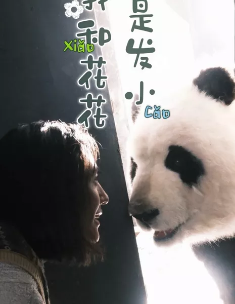 Wo He Hua Hua Shi Fa Xiao  / Wo He Hua Hua Shi Fa Xiao /  我和花花是发小