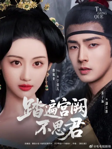 Дорама Путешествие по дворцу, не думая о тебе / Ta Bian Gong Jue Bu Si Jun /  踏遍宫阙不思君