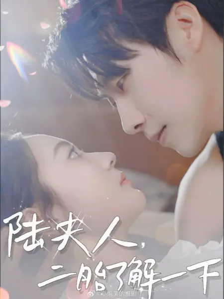 Дорама Lu Fu Ren, Er Tai Liao Jie Yi Xia /  陆夫人，二胎了解一下