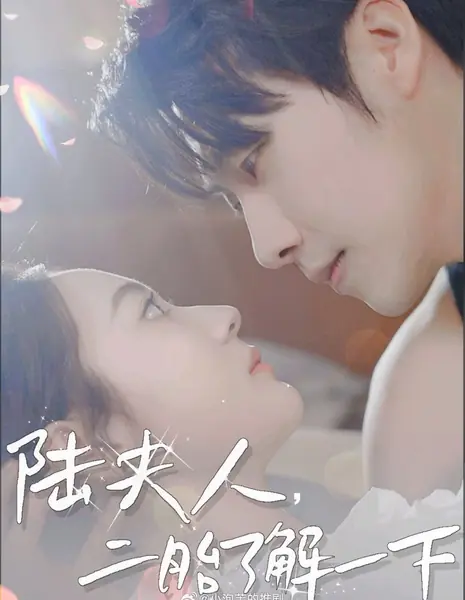 Lu Fu Ren, Er Tai Liao Jie Yi Xia /  陆夫人，二胎了解一下