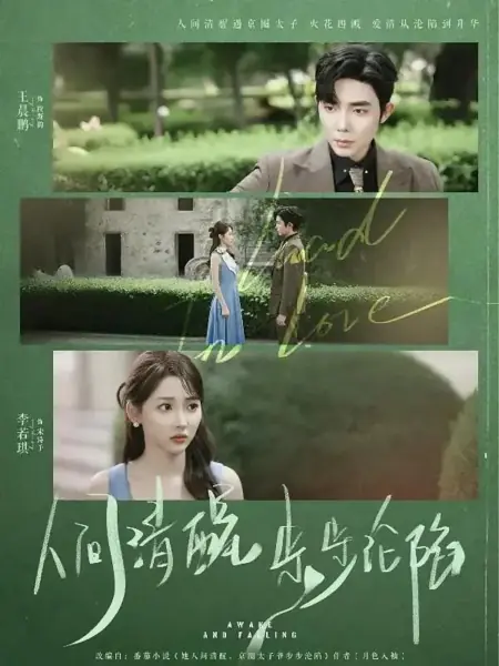 Дорама Пробуждаюсь и падаю / Awake and Falling /  人间清醒，步步沦陷
