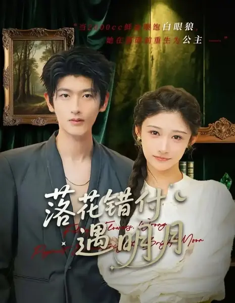 Luo Hua Cuo Fu Yu Ming Yue /  落花错付遇明月