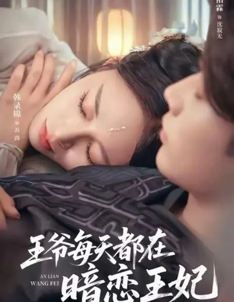 Скрытые чувства принца к госпоже / Wang Ye Mei Tian Du Zai An Lian Wang Fei /  王爷每天都在暗恋王妃
