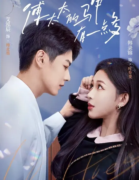 Таинственная миссис Фу / Mysterious Mrs. Fu /  傅太太的马甲有一点多