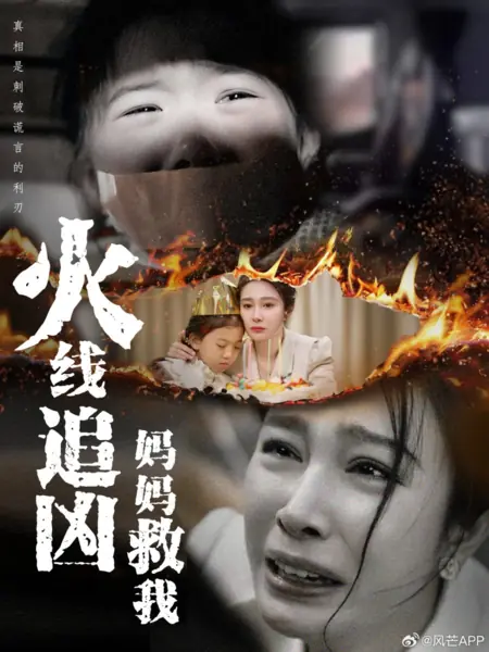 Дорама Миссия матери / Mother on a Mission  /  火线追凶：妈妈救我