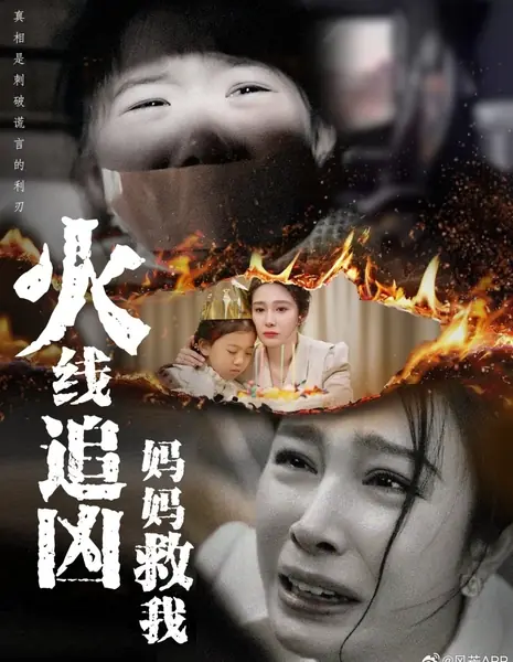 Миссия матери / Mother on a Mission  /  火线追凶：妈妈救我