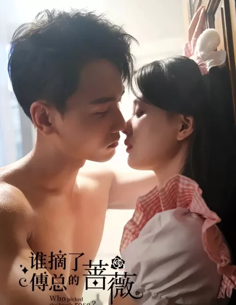 Кто сорвал розу для Босса? / Who Picked the Boss's Rose?  /  谁摘了傅总的蔷薇