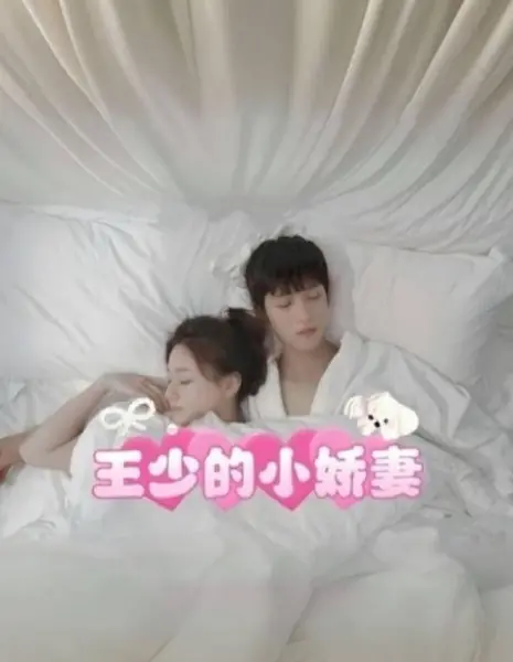 Милая жена молодого господина Вана / Wang Shao De Xiao Jiao Qi /  王少的小娇妻